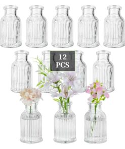 Glasseam 12 Stück Kleine Glasvasen Modern – Mini Blumenvase Set für Hochzeit Party Tischdeko