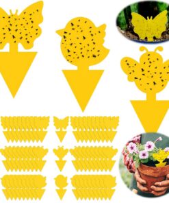 Gelbsticker Trauermücken Bekämpfen 60 Stück - Fallen zur Schädlingsbekämpfung für Zimmerpflanzen und Blumenerde
