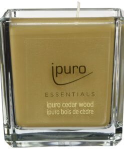 ipurodecorative cedar wood minimalistische & puristische Duftkerzen 125g | ipuro cedar wood intensive holzige & würzige