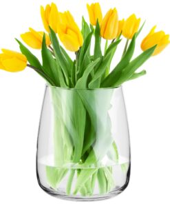 TREND FOR HOME Große Glasvase für Pampasgras H 22,7 cm Ø 19 cm Weite Öffnung
