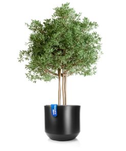 BigDean Wetterfester Blumentopf Style ø 58 cm Anthrazit - herausnehmbarer Innentopf - ideal für außen und innen