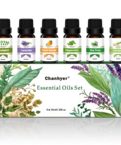Ätherische Öle Geschenkset – Top 6 Aromatherapie-Öle für Entspannung und Raumduft – 6 x 10ml Fläschchen (Pfefferminze, T