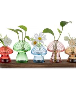 Glasseam Pilz Vase Propagation Station Set von 5 - Bunte Mini Glasvasen mit Holzständer für Hydrokultur Indoor Home Deko
