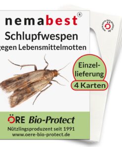 Nemabest® Schlupfwespen gegen Lebensmittelmotten - Effektiv gegen Lebensmittelverwahrer - Bio-Lösung für Schrankfrüchte