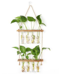 Hyindoor Hängende Propagation Station für Hydrokultur Pflanzen Vintage Wandvase mit Holzregal 8 Rohr 2 Stufen