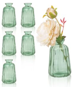6er Set Mini Glasvasen Hellgrün 11x6,5cm für Hochzeit Tischdeko