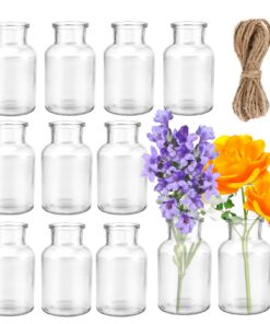 Kleine Glasvasen Set von 12, 125 ml Mini Flaschen mit Jute Band für Tischdeko & Feste