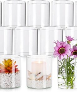 12 Stück Glasvasen 10cm Hoch 10x8,5cm Klar Zylinder Runde für Tischdeko Rosen Tulpen