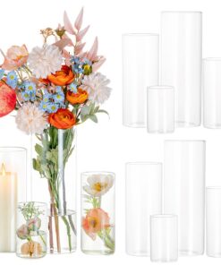 Glasseam Zylinderförmige Glasvasen 12er Set – Transparente Hurricane Kerzenhalter 10,2-25,4 cm für Tafelaufsätze