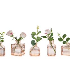 Glasseam Kleine Bernstein Glasvasen 5 Stück Klein Lovely Set für Home Tisch Deko
