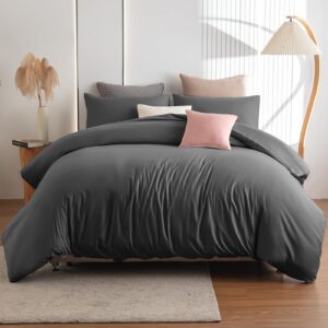 Soifox Bettwäsche bügelfrei & knitterfrei - Mikrofaser Bettwäscheset Grau Anthrazit 220x240 für Erwachsene - 2er Set mit