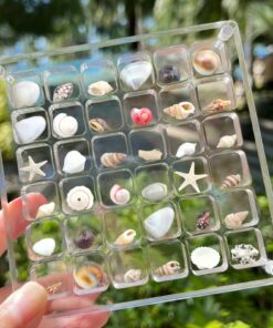 TaoQ C Acryl Magnetische Muschel Display Box 36 Gitter Transparent Seashell Aufbewahrung Nagel Schmuck