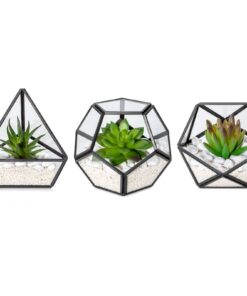 Künstliche Sukkulenten im 3er-Pack, Mini-Glas, Raumdekoration für Frauen