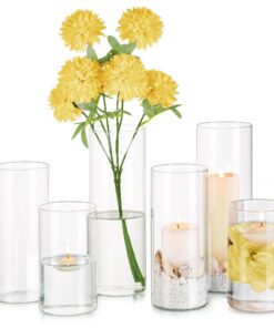 Glasseam Zylinder Glasvase Set 6 Stück 10/15/20cm - Durchsichtig Modern Kerzenhalter Blumen Wedding Deko Wohnzimmer