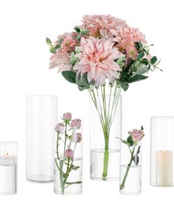Modern Glas Zylinder Vase Set 2er 15/20/25cm – Blumenvase für Hochzeit Wohnzimmer Tulpen Rose