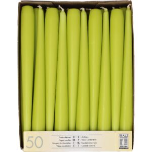 Papstar 81113 limonengrüne 50 Leuchterkerzen für Dekoration in der Wohnung Ø 2,2 x 25 cm