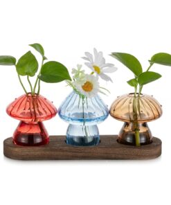 Glasseam Pilz Propagation Station Set von 3 - Bunte Mini Glasvasen mit Holzständer für Hydrokultur Pflanzen
