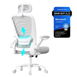 SONGMICS ergonomischer Bürostuhl, Drehstuhl mit Mesh, Lenden- und Kopfstütze, Wippfunktion, 53 cm große Sitzfläche, klap