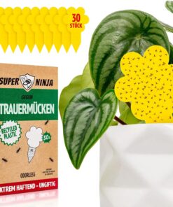 Super Ninja Trauermücken bekämpfen - hochwirksame Gelbtafeln für den Innenbereich, ungiftig und umweltfreundlich, Gelbst