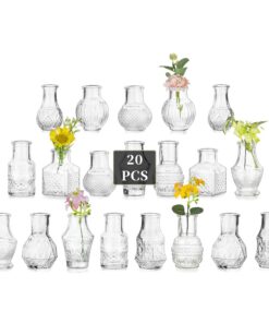 Glasseam 20 Stück Vintage Mini Glasvasen Set für Hochzeit Tischdeko