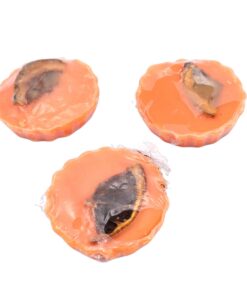 LivuX 3X Duftwachs Orange hochwertig für Wellness- und Raumduft-Anwendungen 15 g Rund 5 cm | LivuX 3X Duftwachs Orange