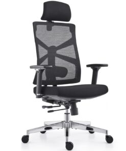 HOLLUDLE Ergonomischer Bürostuhl Schwarz mit Adapätiver Rückenlehne und 4D Armlehnen