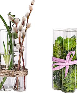 Tuuters Steckling Vaseneinsatz 6 Stück, Reagenzglas Vase, Ideal für Pflanzenliebhaber, Alte Grüner Raum (70 x Ø30mm) T