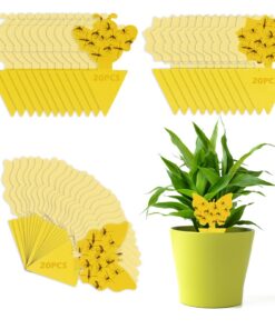 Gelbtafeln 60 Stück Trauermücken Bekämpfen Effektive Klebefalle für Küche und Garten