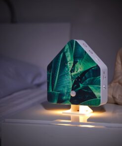 Northpoint Nature Sound Box - Vogelgezwitscher Box mit Licht und Motion Sensor - Wiederaufladbare Palm Leaf Cottage