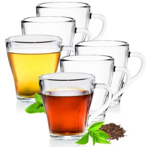 Konzept 11 - Teegläser mit Henkel, 6er Set, Transparent, für Tee, Kaffee, Wasser, Eistee, Saft, Glühwein, Heisse und Kal