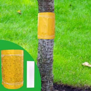 Panngu Selbstklebend Leimringe Gelb 10 Meter für Obstbäume AmeisenSchutz Baumleimring Kirschbaum Apfelbaum Pflaumenbaum