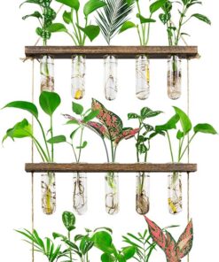 3-Stufige Wand-Hänge-Blumenvasen mit Holzständer Glas-Reagenzglas für Hydroponik Home Office Patio Deko
