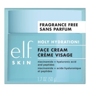 e.l.f. SKIN Holy Hydration! Feuchtigkeitscreme Für Nährische & Aufpolsternde Haut, Vegan & Tierversuchsfrei, 50 gCompact