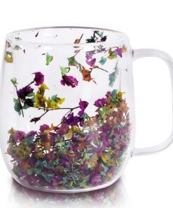 Richaa Gläser Doppelwandige Getrocknete Blumen Latte Macchiato Kaffeetassen mit Griff 350ml Cappuccino Mug Originelle Ge