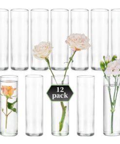 Glasseam 12er Zylinder Glasvasen Set für Hochzeit Tischdeko - Kleine Modern Blumenvasen Rosen