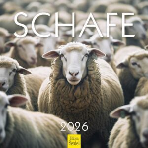 Edition Seidel Premium Wandkalender Schafe 2026 Format DIN A3 Tierkalender Lamm Bock Haustiere