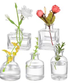 5er Set Kleine Glasvasen Mini Blumenvasen für Tischdeko Hochzeit Geburtstag