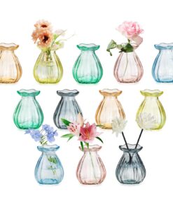 Glasseam Kleine Bunte Glasvasen 12 Stück - Aesthetic Modern Tischdeko für Hochzeit Party Home Blumen