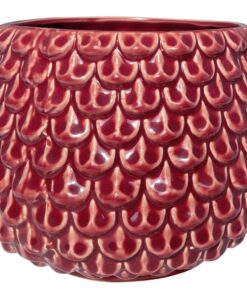 Nordring Cambria Schnapsgläser - 59 ml - 6er Set