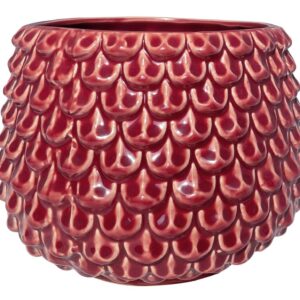 Nordring Cambria Schnapsgläser - 59 ml - 6er Set