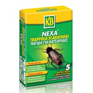 KB Nexa Schabenfalle, 5 Stück für Hausbesitzer zur Abholzung von Schaben und Insekten