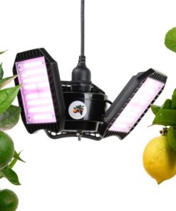 Meine Orangerie - Vollspektrum LED-Pflanzenlampe FLEX [60W] - Entwickelt mit Zitruspflanzen-Profis (LED Lampe) Meine O
