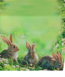 KAMACA Frühlingstischläufer Hasen Trio abwaschbar – Küche, Esstisch, Wohnzimmer (40x140cm)