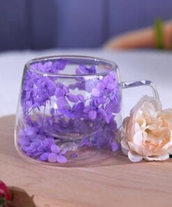 Richaa Getrocknete Blumen Gläser für Latte Macchiato und Cappuccino 200ml originelle Geschenke Originsale Coffee Glasses