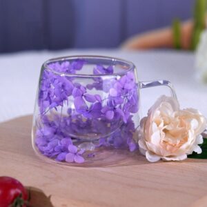 Richaa Getrocknete Blumen Gläser für Latte Macchiato und Cappuccino 200ml originelle Geschenke Originsale Coffee Glasses