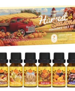 Herbst Ernte ätherische Öle Set - Knuschige Apfel Zider, Birne & Honig, Herbst Feige, Ahorn Grove - Duftöl Set für Öl Di
