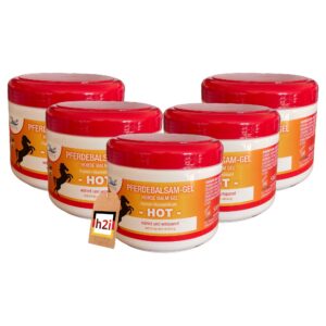 h2i Pferdebalsam Gel für Pferde - pflegend & wärmend | 5 x 500 ml | mit Arnika, Rosmarinöl & Chillischotenextrakt | perf