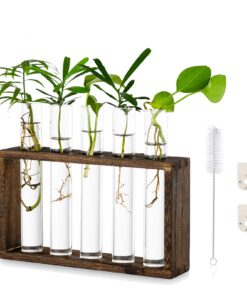 Glasseam Modern Reagenzgläser Blumenvase Set mit Holzständer - Propagation Station für Hydroponik & Tischdeko