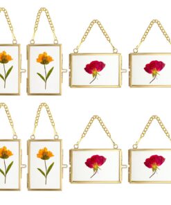 SUMTree 8-Packs Glasrahmen, Gold, 5x7,6 cm, ideal für Fotos und gepresste Blumen - Hängbar, Designpflanzen-Inclusion, 4