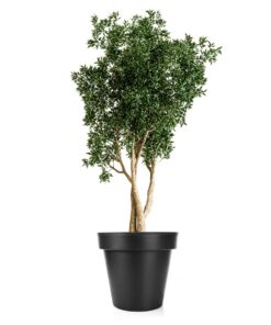 BigDean Blumentopf XXL - klassisch anthrazit - mit 360° rollingenschließbarmem Wasserablauf - witterfester Kunststoff -